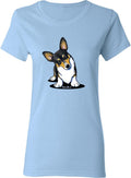 inktastic Tri Color Corgi Women's T-Shirt - KiniArt - Light Blue