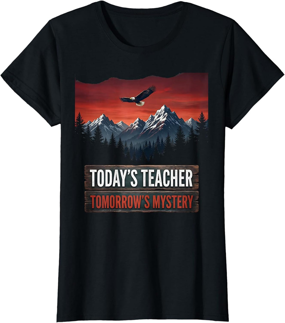 Today's Teacher Tomorrow's Mystery Substitute Tee T-Shirt - Black