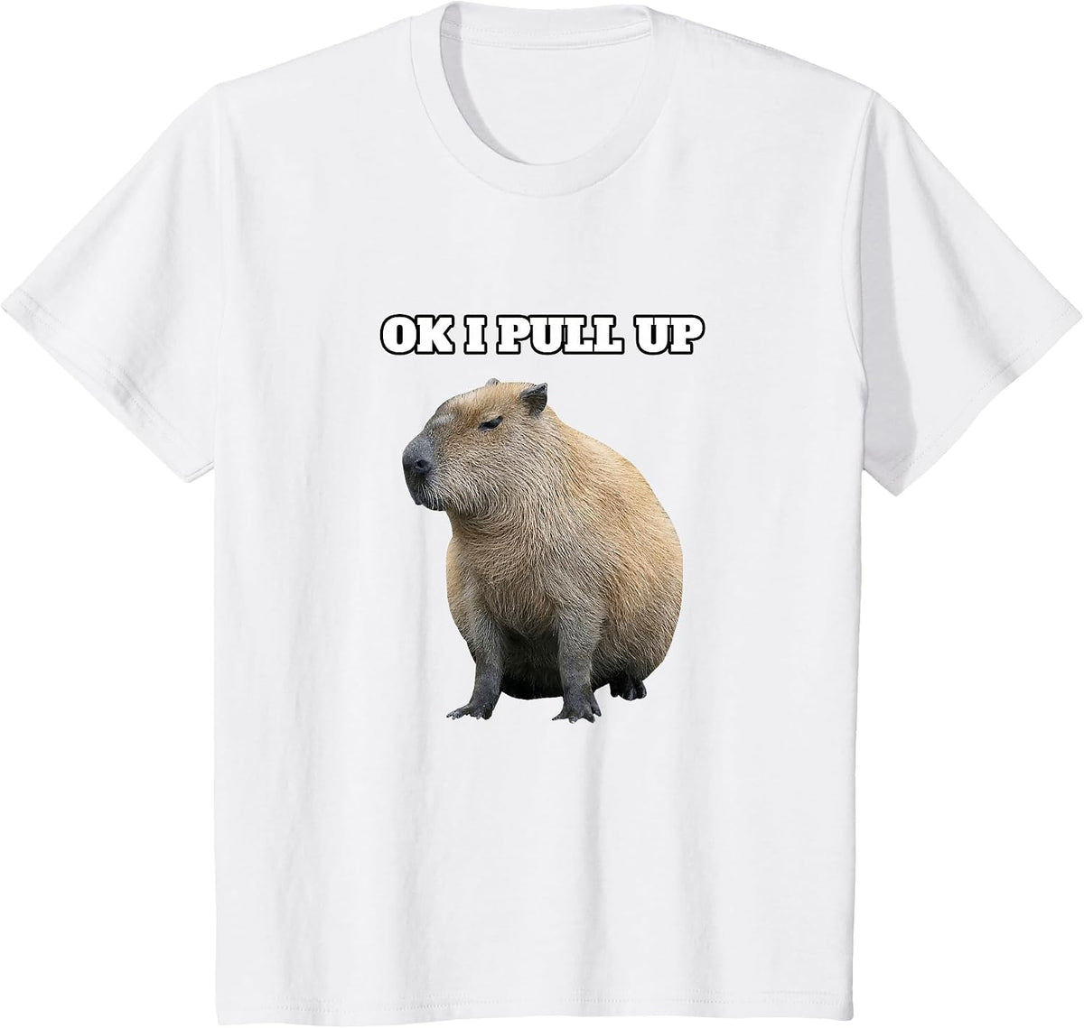 Ok I Pull Up Capybara T-Shirt - White