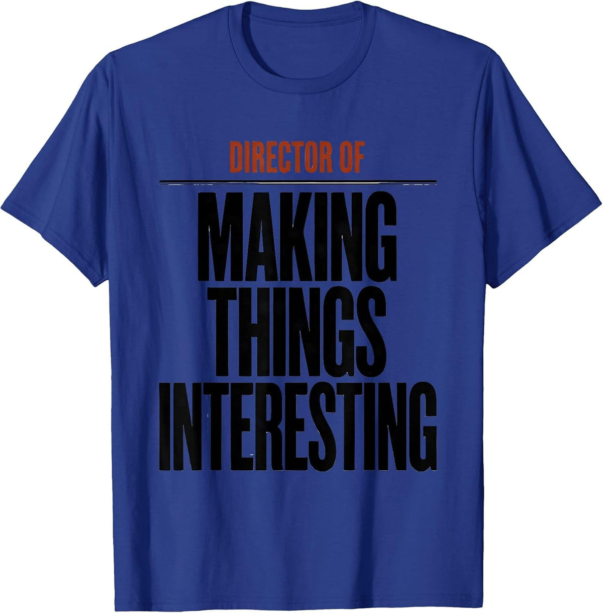 Director Of Making Things Interesting Funny Sarcastic Humor T-Shirt - Royal Blue