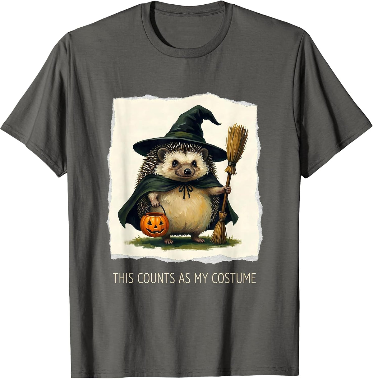 Men's This Counts As My Costume Storybook Animal Witch Halloween T-Shirt - Asphalt Grey