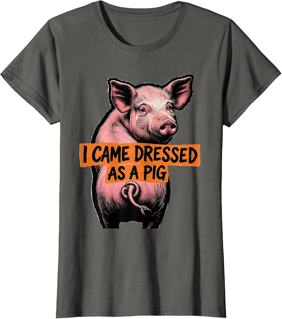 Women's I Came Dressed As A Pig Funny Pig Lover Halloween Costume T-Shirt - Asphalt Grey