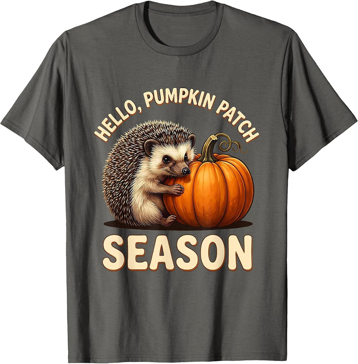 Hello, Pumpkin Patch Season Whimsical Fall Cozy Autumn Humor T-Shirt - Asphalt Grey