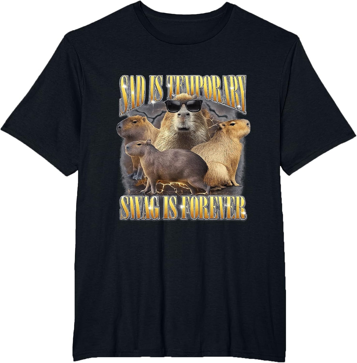 Swag is Forever Funny Capybara Unhinged Gen Z Meme Cringe T-Shirt - Black