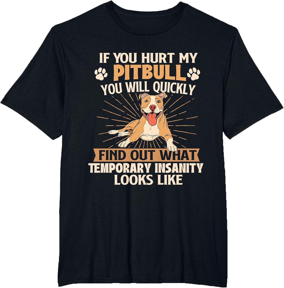 If You Hurt My Pitbull You Will Quickly Find Out - Dog Lover T-Shirt - Black