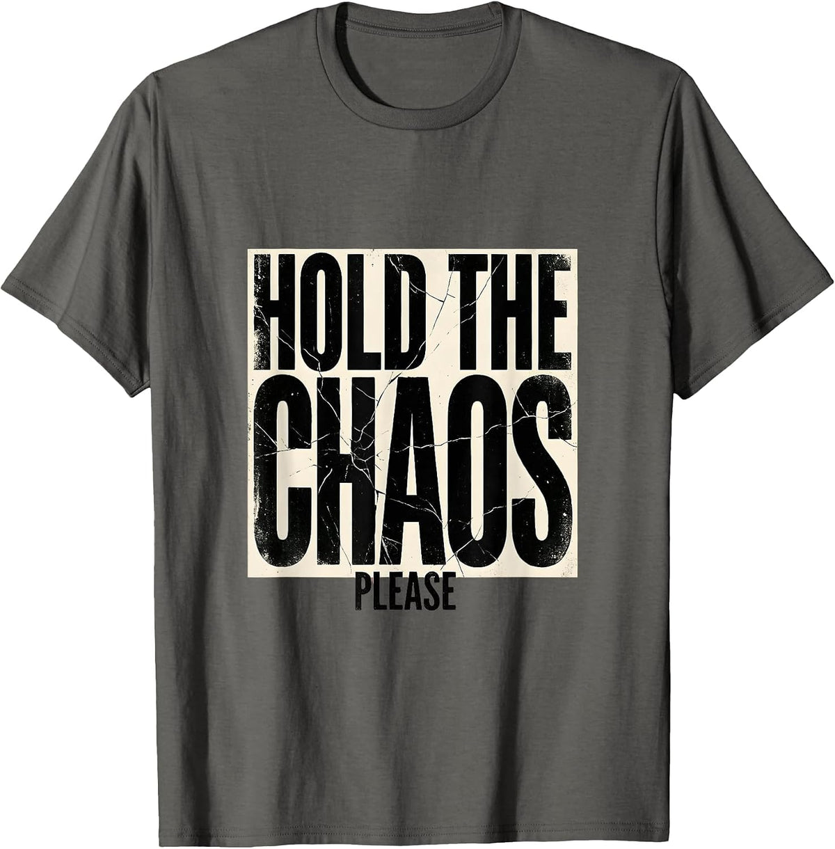 Hold The Chaos Please Substitute Teacher Design T-Shirt - Asphalt Grey