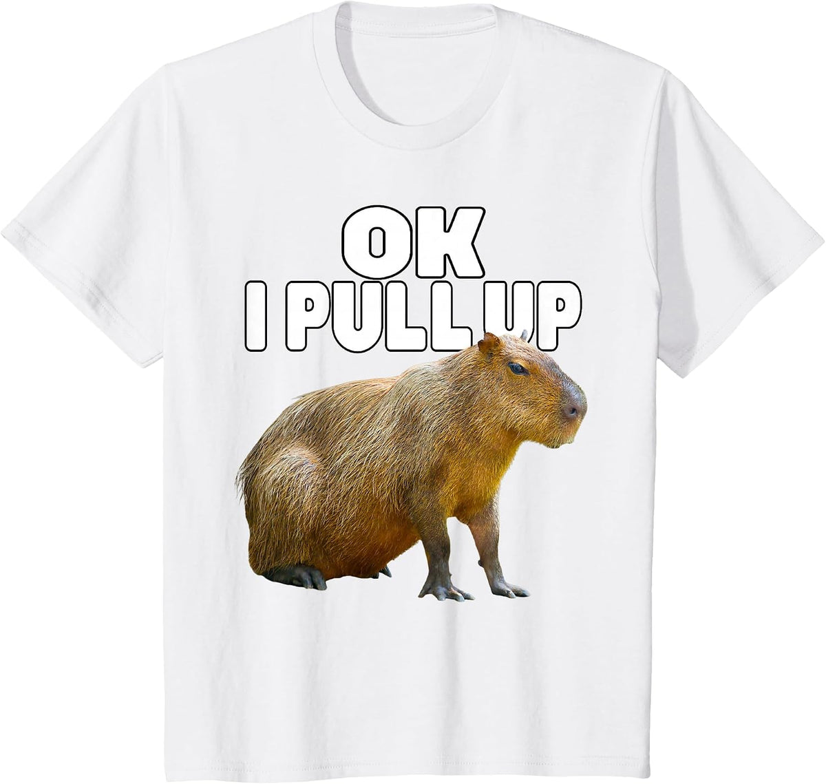 Ok I Pull Up Capybara Funny Capybara Lover Dank Meme T-Shirt - White