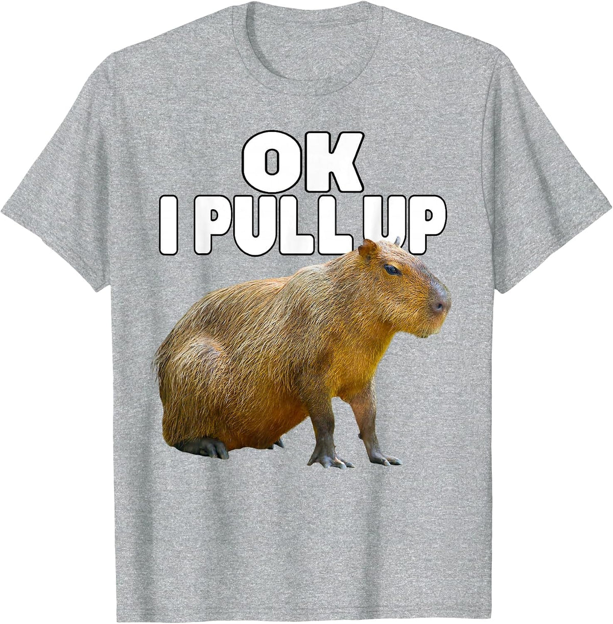 Ok I Pull Up Capybara Funny Capybara Lover Dank Meme T-Shirt - Heather Grey