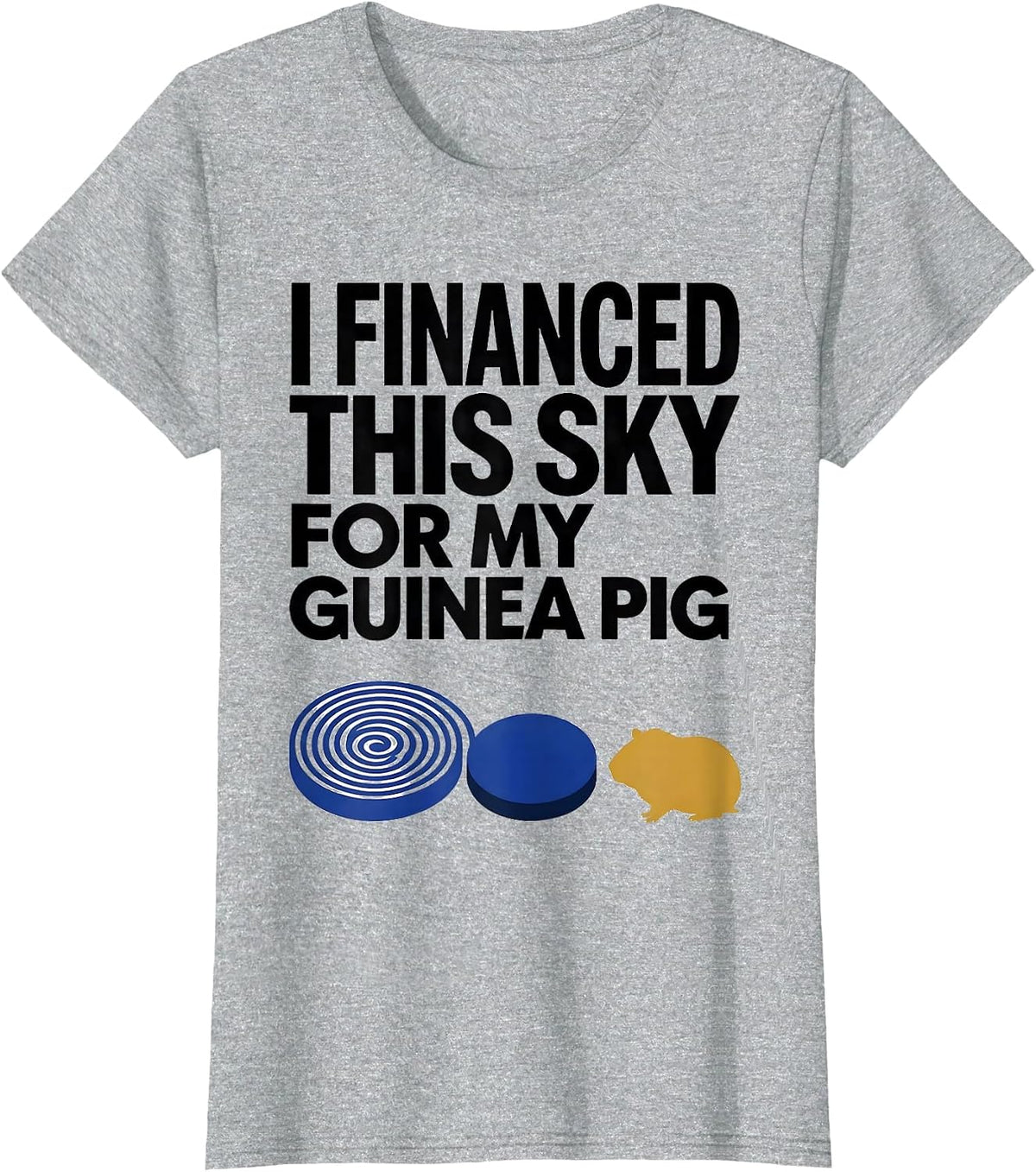 Women's I Financed This Sky For My Guinea Pig Funny Animal Lover T-Shirt - Heather Grey