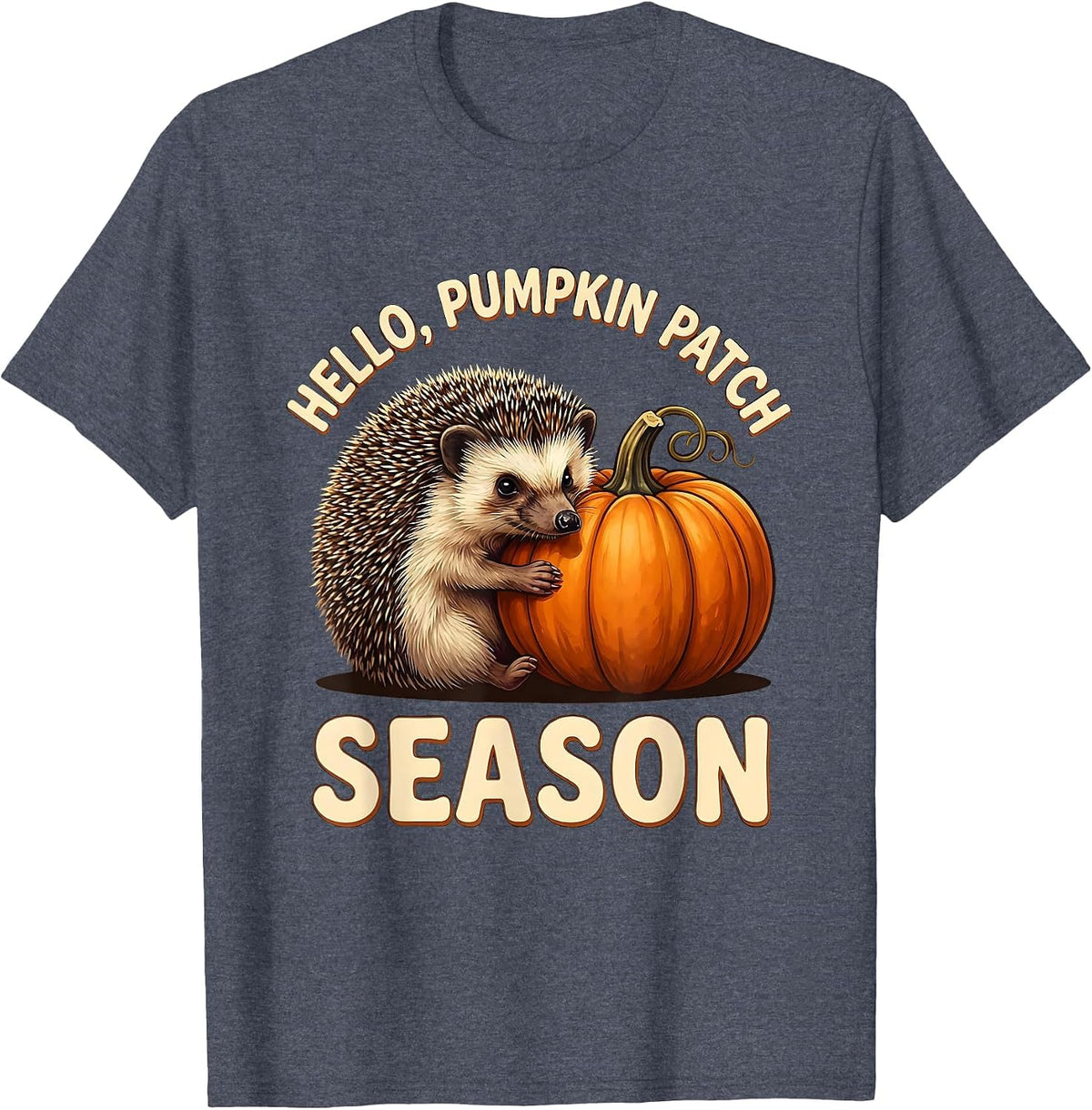 Hello, Pumpkin Patch Season Whimsical Fall Cozy Autumn Humor T-Shirt - Heather Blue