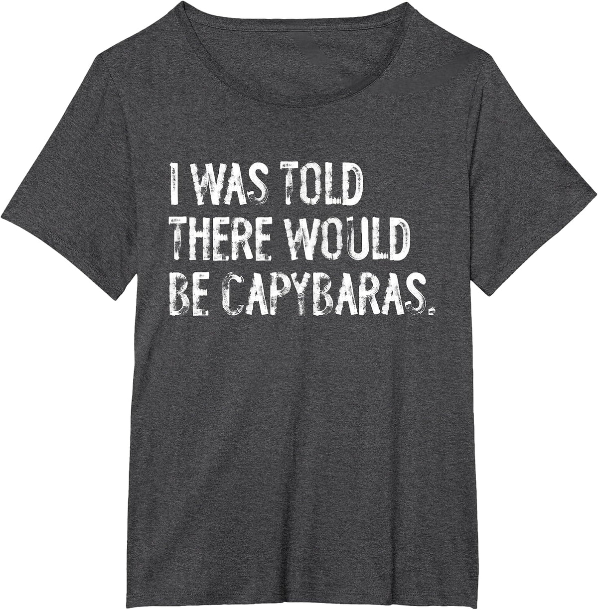 I was Told There Would Be Capybaras T-Shirt - Dark Heather Grey