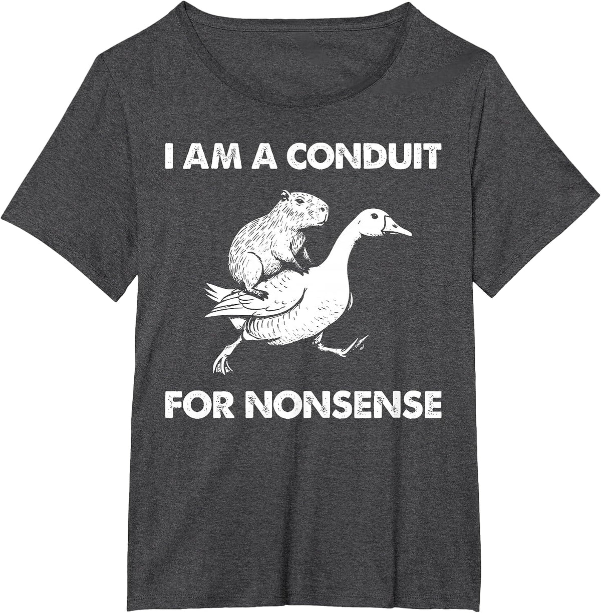 I Am A Conduit for Nonsense Capybara Goose Meme T-Shirt - Dark Heather Grey