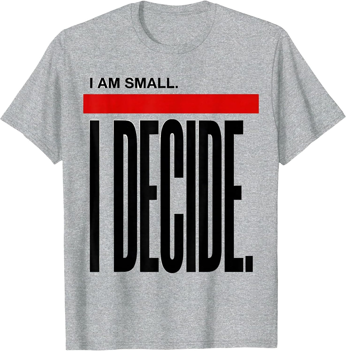 Men's I Am Small I Decide Funny Chihuahua Dog Lover Humor T-Shirt - Heather Grey