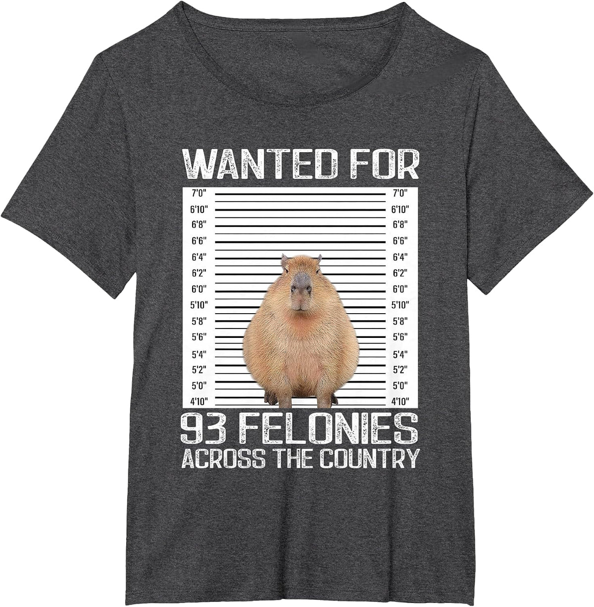 Capybara Manhunt Photo for 93 Crimes Around the Country T-Shirt - Dark Heather Grey