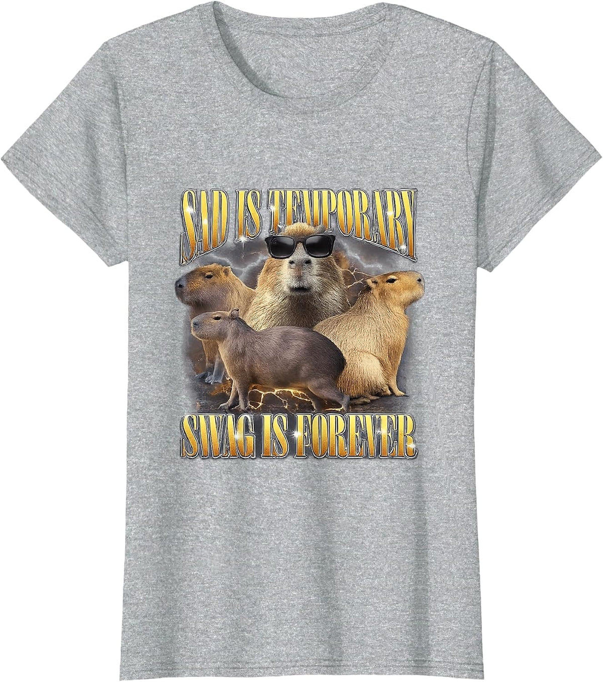 Swag is Forever Funny Capybara Unhinged Gen Z Meme Cringe T-Shirt - Heather Grey
