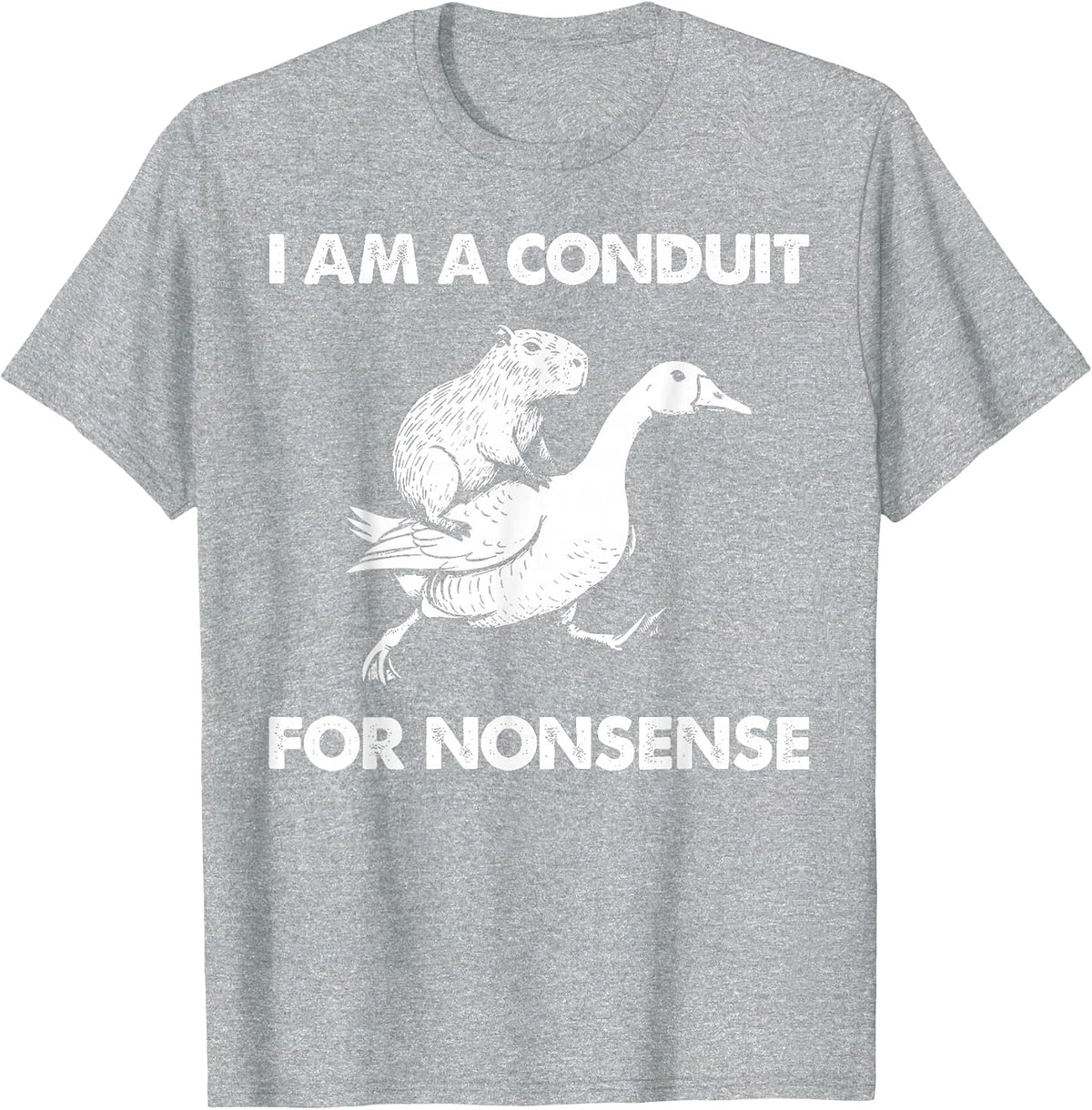I Am A Conduit for Nonsense Capybara Goose Meme T-Shirt - Heather Grey