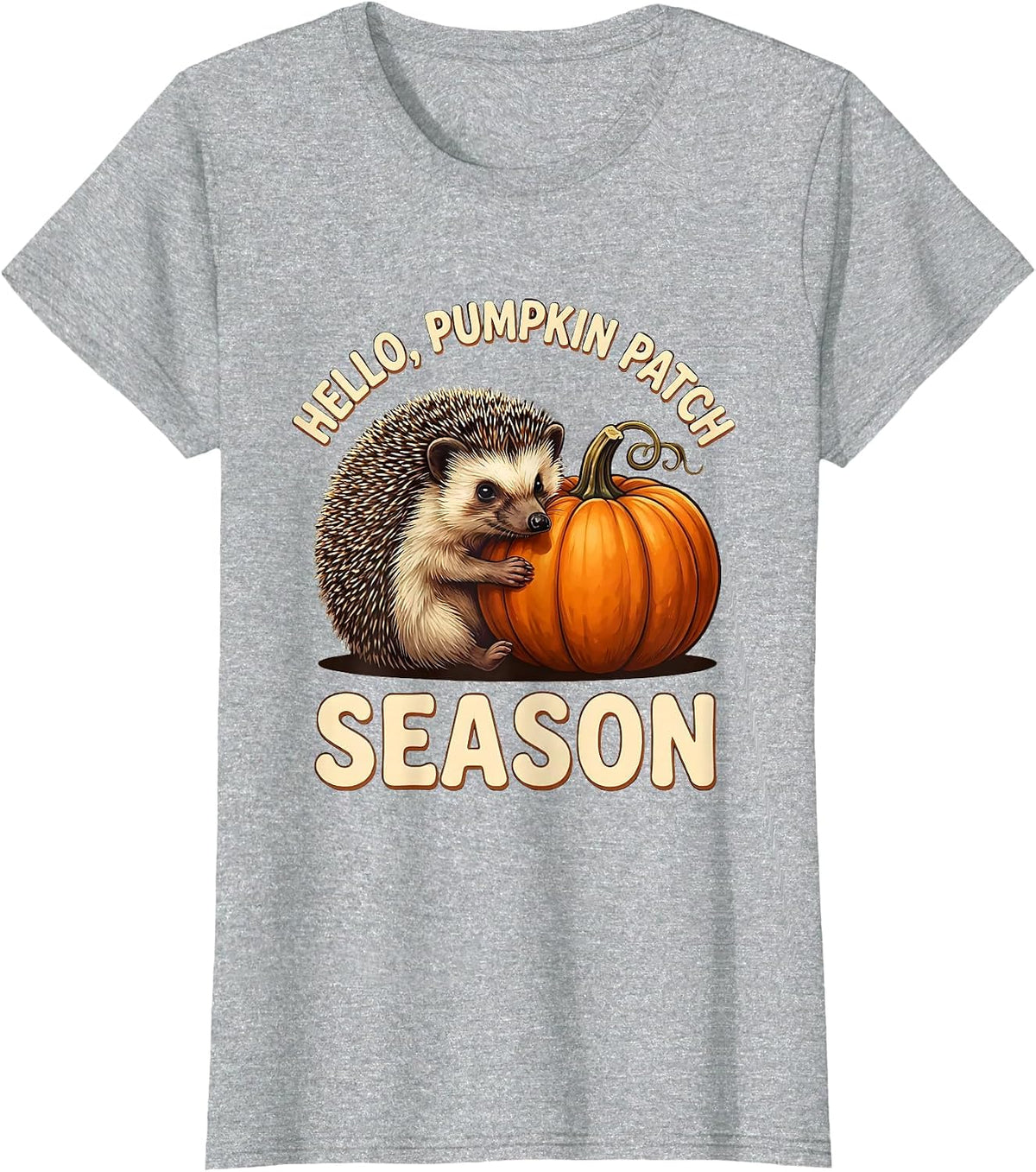 Hello, Pumpkin Patch Season Whimsical Fall Cozy Autumn Humor T-Shirt - Heather Grey