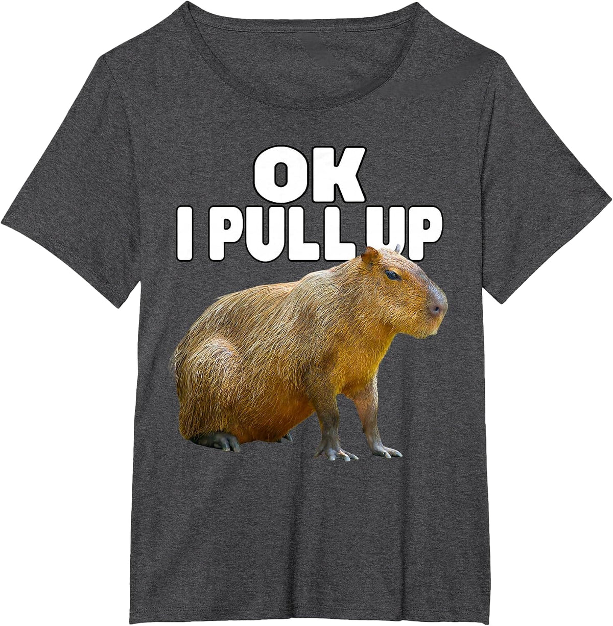Ok I Pull Up Capybara Funny Capybara Lover Dank Meme T-Shirt - Dark Heather Grey