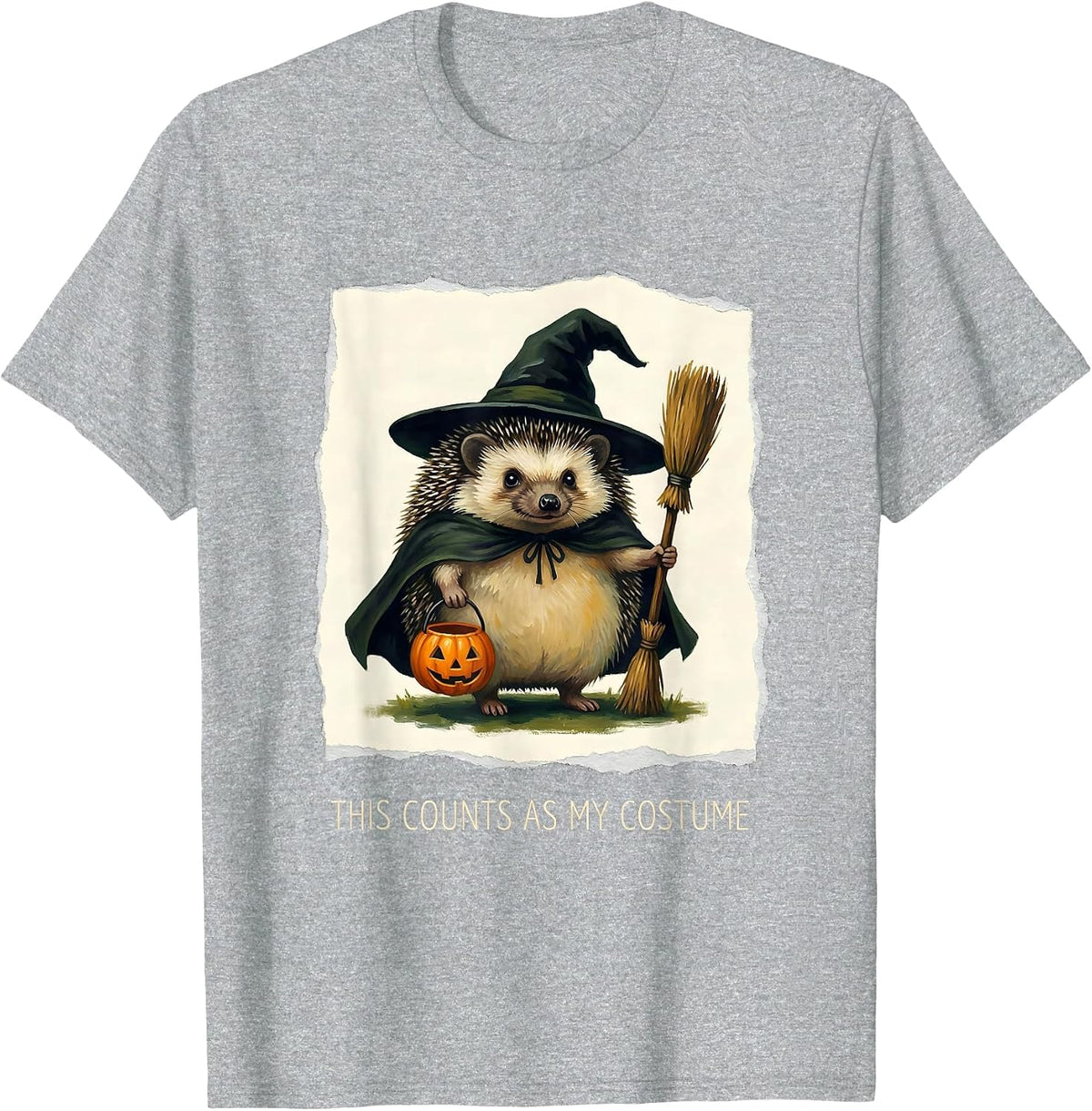 Men's This Counts As My Costume Storybook Animal Witch Halloween T-Shirt - Heather Grey