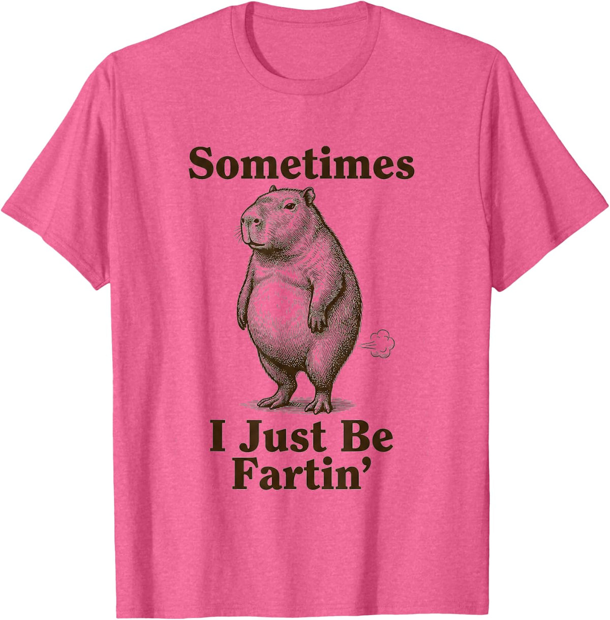 Capybara Sometimes I Just Be Fartin Vintage Style T-Shirt - Pink Heather