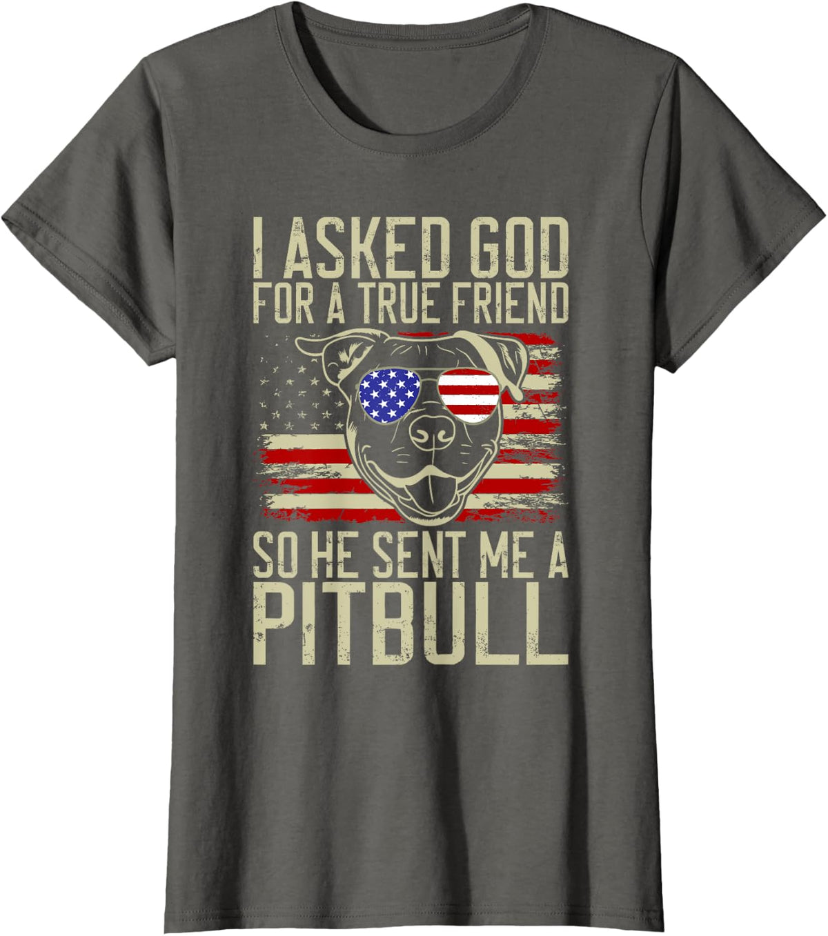 I asked God for a true Friend so he sent me a Pitbull T-Shirt - Asphalt Grey