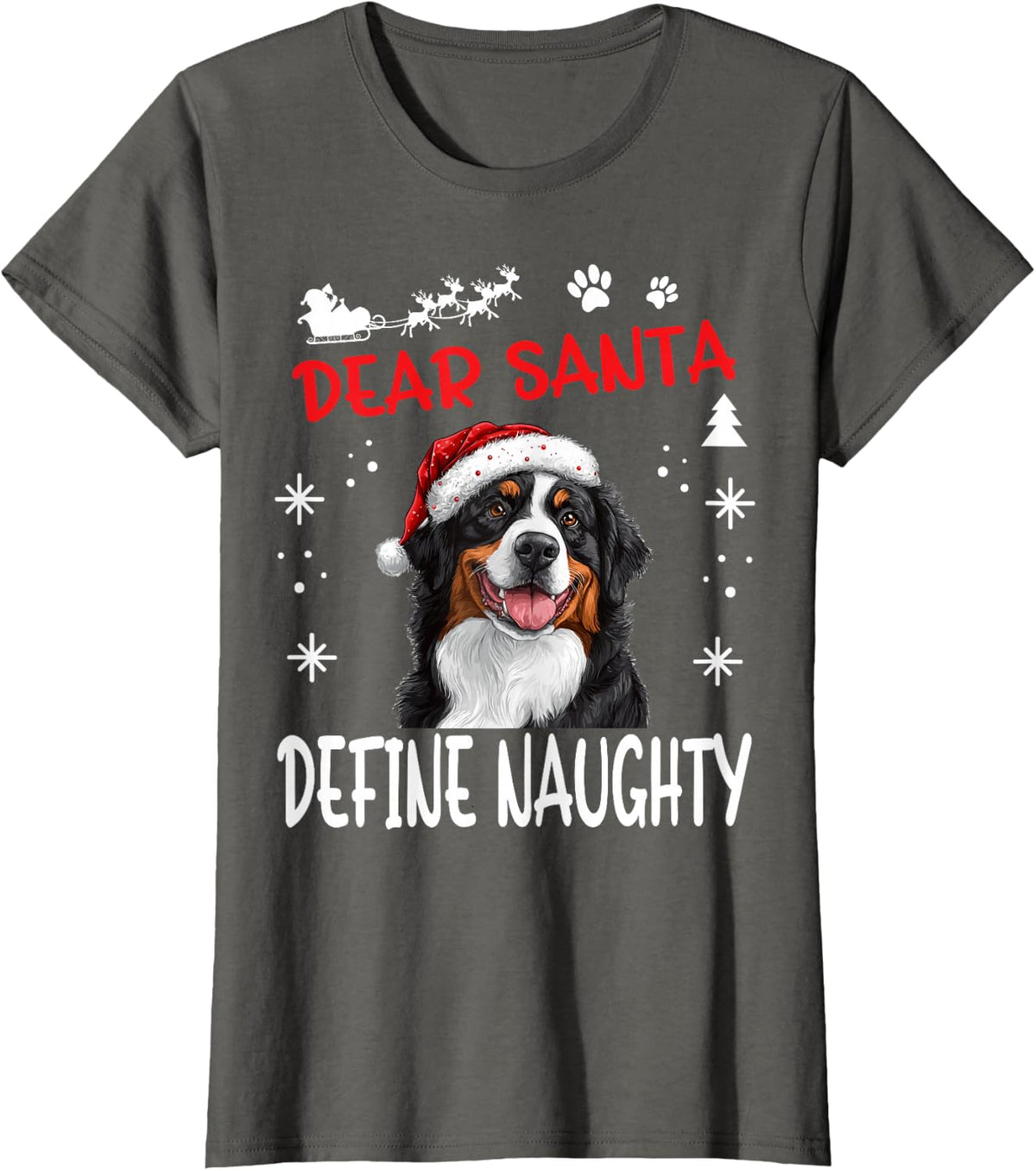 Cute Bernese Mountain Dog Christmas Dear Santa Define T-Shirt - Asphalt Grey
