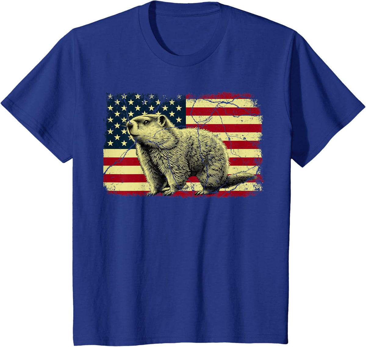 Punxsy Phil American Flag Groundhog Day For Men Women T-Shirt - Royal Blue
