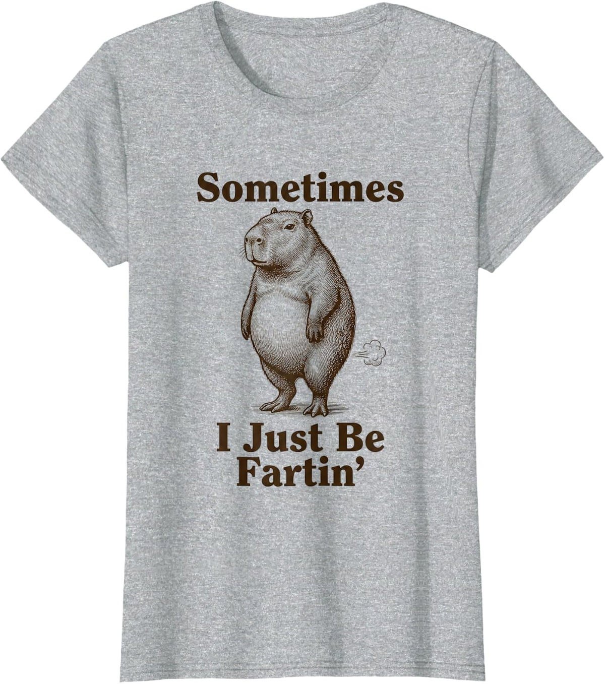 Capybara Sometimes I Just Be Fartin Vintage Style T-Shirt - Heather Grey