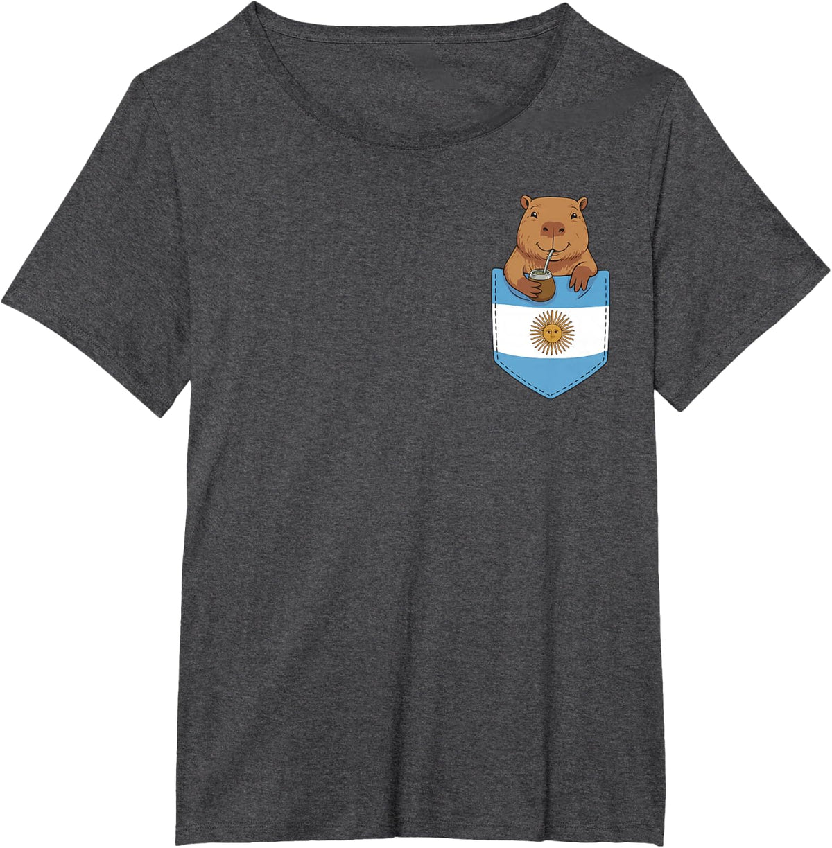 Argentine Capybara Yerba Mate Funny Pocket Argentina Flag T-Shirt Tee - Dark Heather Grey